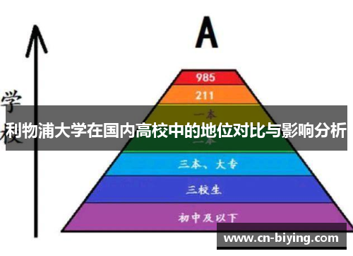 利物浦大学在国内高校中的地位对比与影响分析