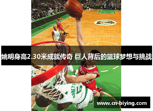 姚明身高2.30米成就传奇 巨人背后的篮球梦想与挑战